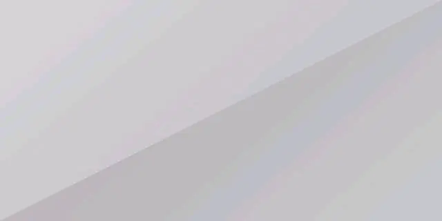 Florett Silver Metallic