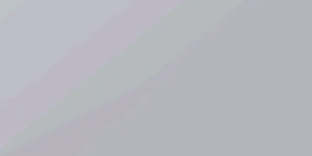 Suzuka Grey Metallic