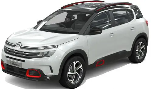 PEARL WHITE (DUAL TONE)