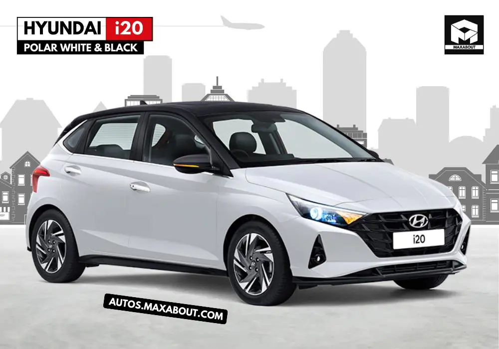 Polar White and Black