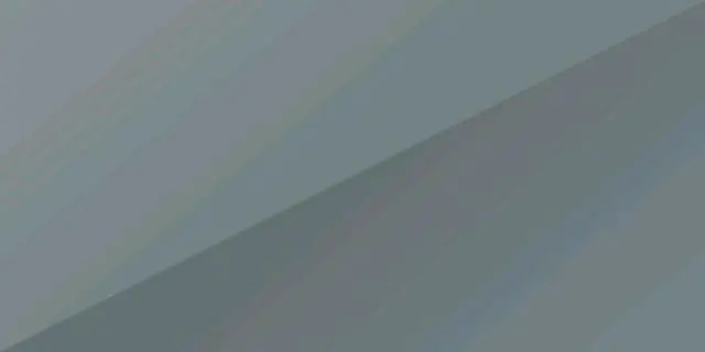 Polar Silver Metallic