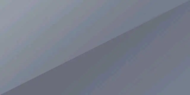 Electric Silver Metallic