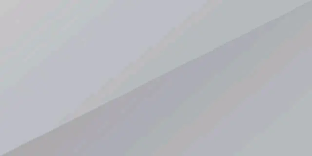 Bright Silver Metallic