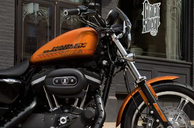 HD 883 Roadster Close-up
