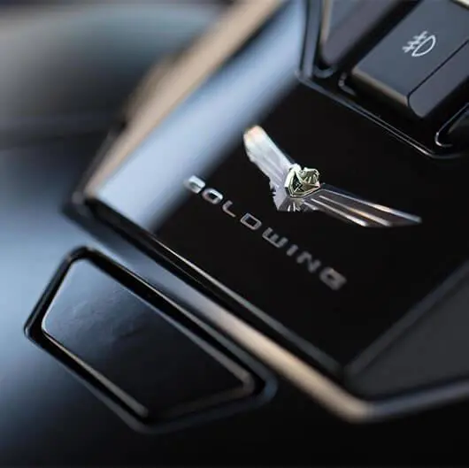 Honda Gold Wing Tour Cruise Control with TBW and Riding Modes