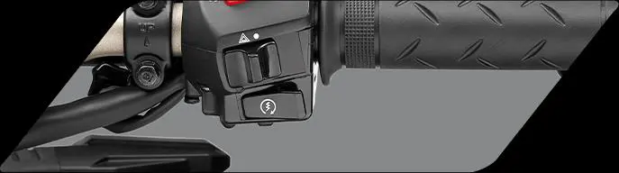 Honda Hornet 200 Hazard Switch