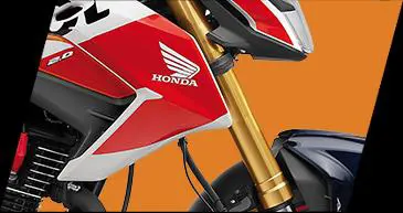 Honda Hornet Repsol Edition Golden USD Front Fork