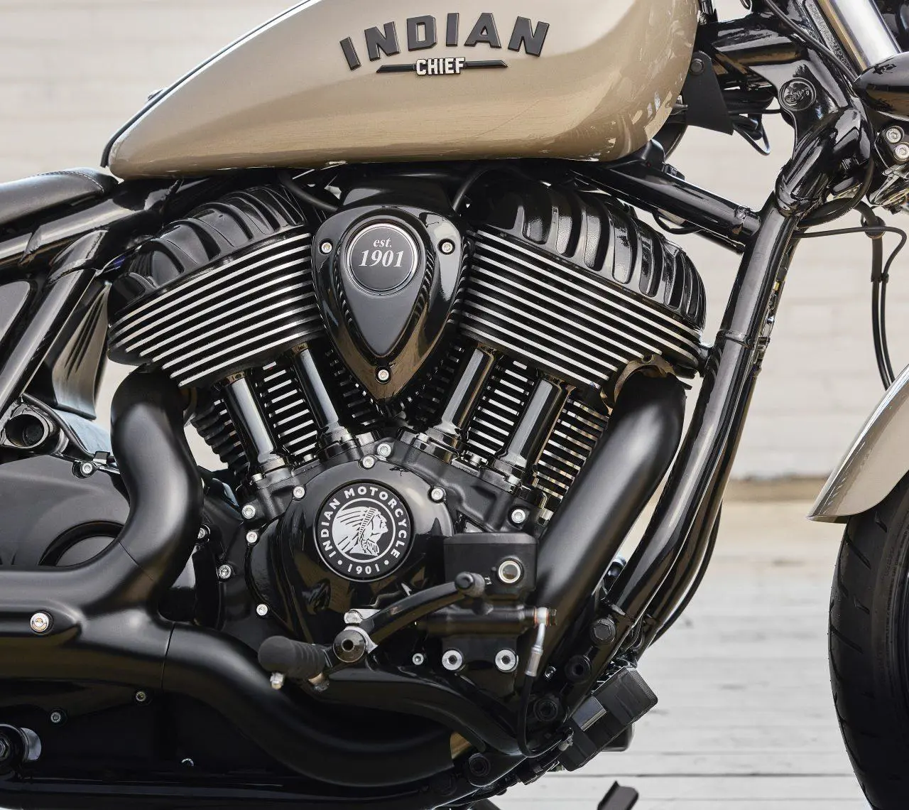 Indian Chief Dark Horse