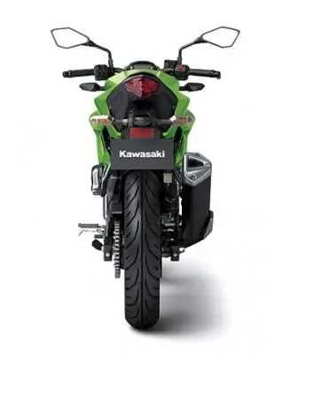 Kawasaki Z250 SL Rear View
