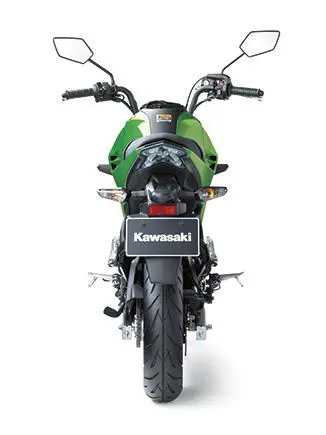 Kawasaki Z125 Pro Rear View
