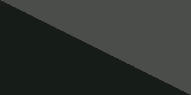 Phantom Black