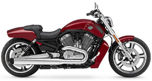 Harley Davidson V-Muscle
