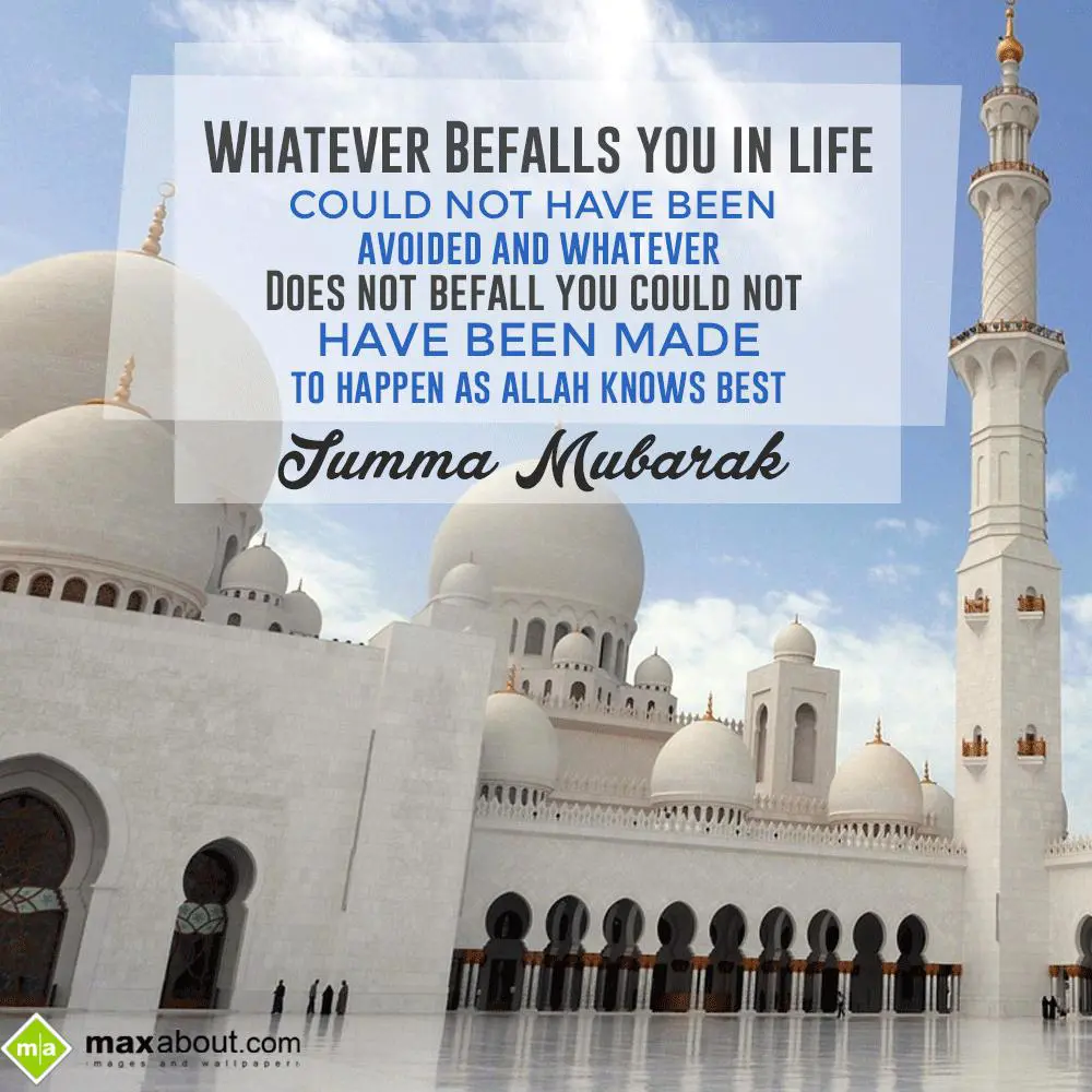Whatever Befalls You In Life, Could Not Have Been Avoided, ... | Amuz