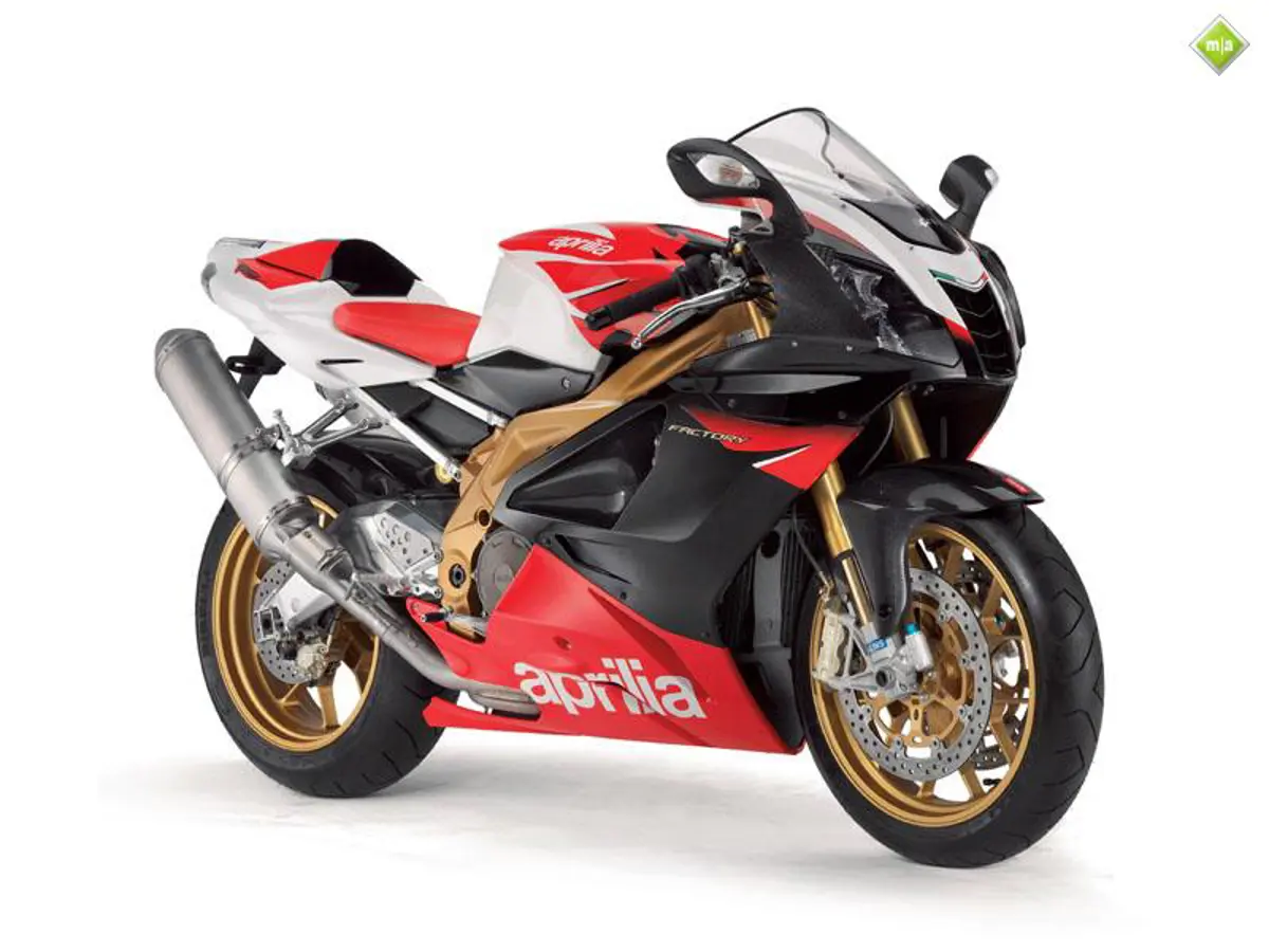 RSV 1000 R Factory