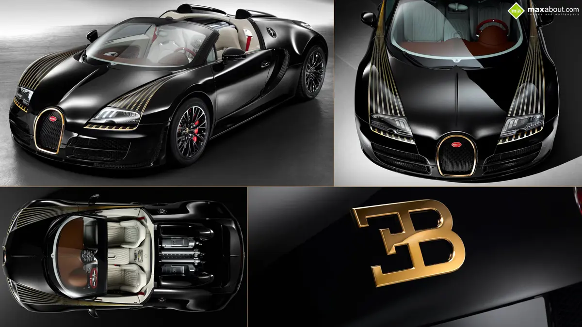 Bugatti Veyron Black Bess