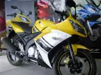 Yamaha R15 image