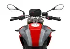 BMW F900R image
