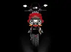 Multistrada 1100 image