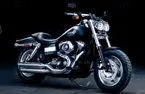 Fat Bob image