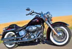Softail Deluxe image