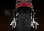 V Muscle image