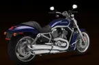 V-Rod image