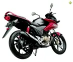 CBF Stunner Fi image