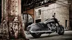 Indian Chief Dark Horse image