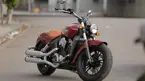 Indian Scout image