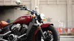 Indian Scout image