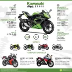 Quick Facts: Kawasaki Ninja 250SL image