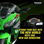 2021 Kawasaki Ninja 300 image