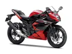 Kawasaki Ninja RR Mono Front 3-Quarter image