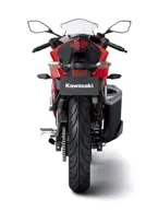 Kawasaki Ninja RR Mono Rear View image