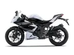 Kawasaki Ninja RR Mono Side View image