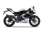 Kawasaki Ninja RR Mono 'White' image