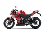 Kawasaki Z250 image
