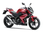 Kawasaki Z250 image