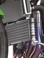 New Kawasaki Ninja ZX-10R image