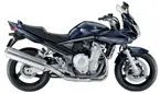 Bandit 1250s image