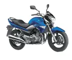 GW250 image