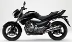 Suzuki Inazuma 250 image