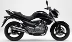 Suzuki Inazuma 250 image