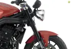 Speed Triple image