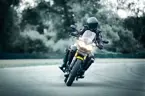 Tiger 800 image