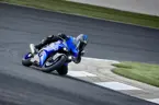 New Yamaha R6 image