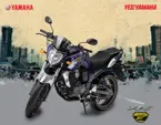 Yamaha FZS Limited Edition image