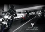 Yamaha MT-25 image