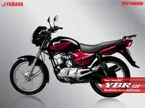 Yamaha YBR image