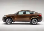 2013 New BMW X6 image